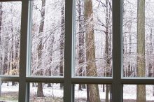 Custom Home with Large Woodland View Windows