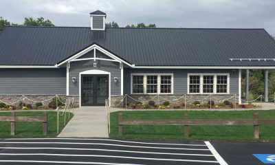 Modern Light Commercial Building with Metal Roof and Stone Accent